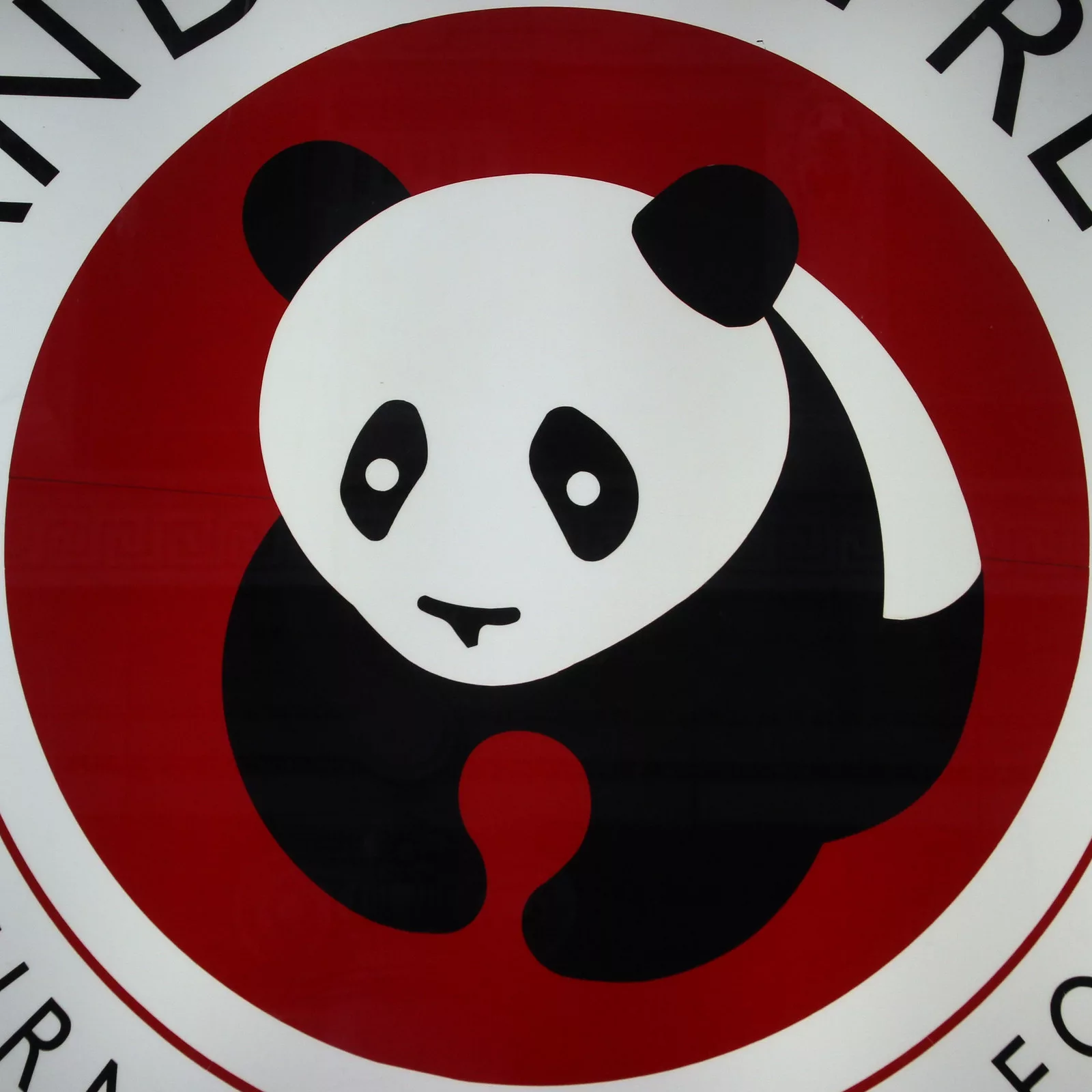 Panda Express gourmet chinese food logo - zoomed in